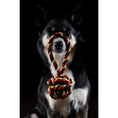 Cargar imagen en el visor de galería, Hundespielzeug Schleuderball - BenzoDesign