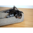 Cargar imagen en el visor de galería, Hundebett Classic - SCALA AMBER - BenzoDesign
