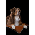 Charger l'image dans la visionneuse de galerie,Hundedecke BUFFALO CAMEL Multifunktionsdecke - BenzoDesign