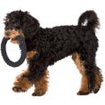 Cargar imagen en el visor de galería, Hundespielzeug Ringo Ring - BenzoDesign
