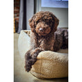 Cargar imagen en el visor de galería, Hundebett Classic - TEDDY CREME - BenzoDesign