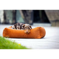 Carica l'immagine nel visualizzatore di gallerie,Hundebett Classic - BUFFALO CAMEL - BenzoDesign