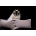 Cargar imagen en el visor de galería, Hundebett Classic - BUFFALO CREME - BenzoDesign