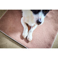 Charger l'image dans la visionneuse de galerie,Hundedecke BUFFALO CREAM Multifunktionsdecke - BenzoDesign