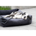 Cargar imagen en el visor de galería, Orthopädisches Hundebett - GLAM GRAPHITE - BenzoDesign