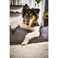 Carica l'immagine nel visualizzatore di gallerie,Hundebett Classic - TUDOR ANTHRAZIT - BenzoDesign