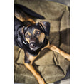 Carica l'immagine nel visualizzatore di gallerie,Hundebett Classic - TUDOR OLIVE - BenzoDesign