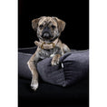 Bild in Galerie-Betrachter laden, Hundebett Classic - GLAM GRAPHITE
