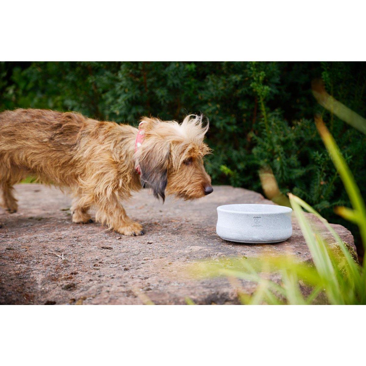 ROCKY - Napf für Hund und Katze