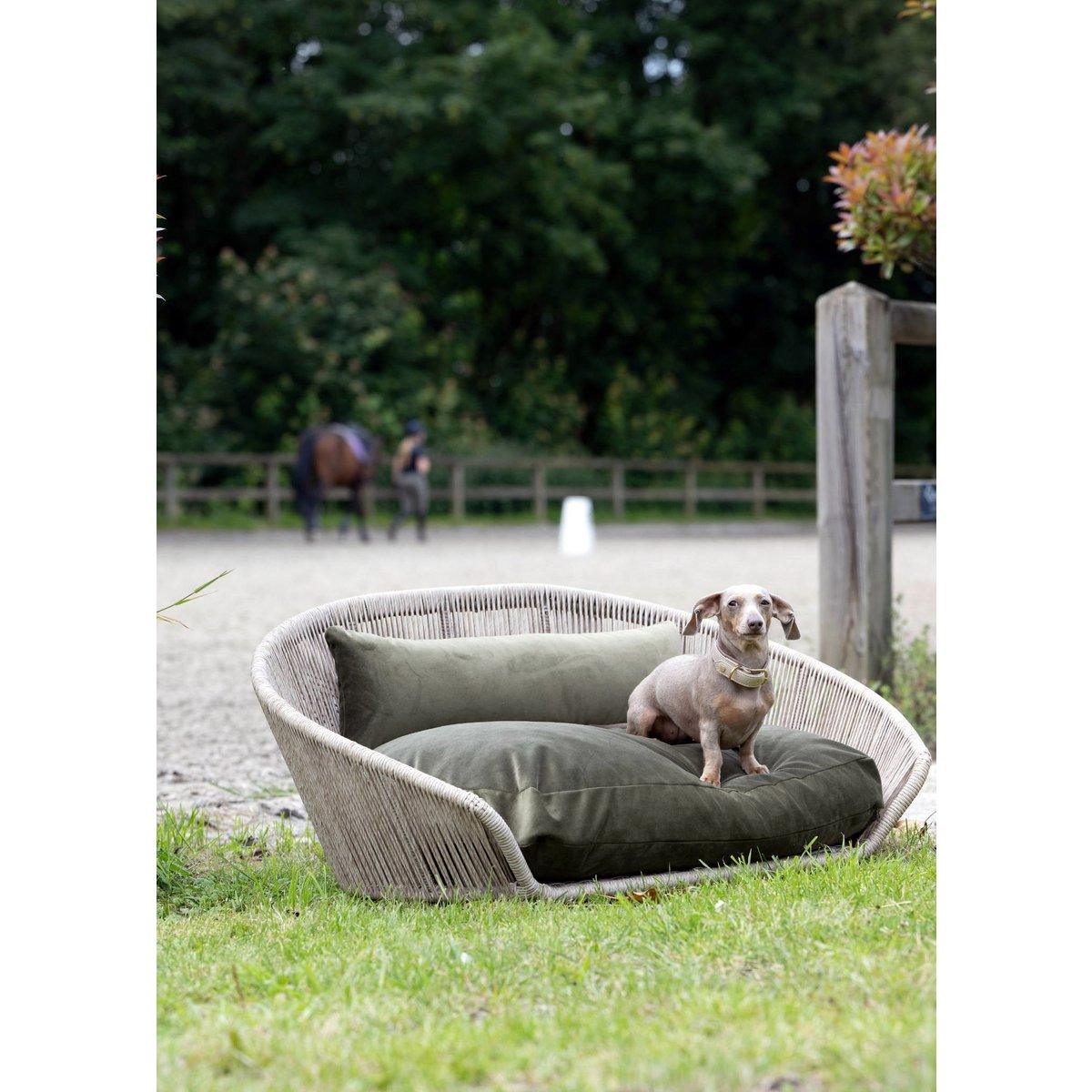 Design-Hundebett Vogue OXFORD