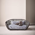 Bild in Galerie-Betrachter laden, Design-Hundebett Prado OXFORD
