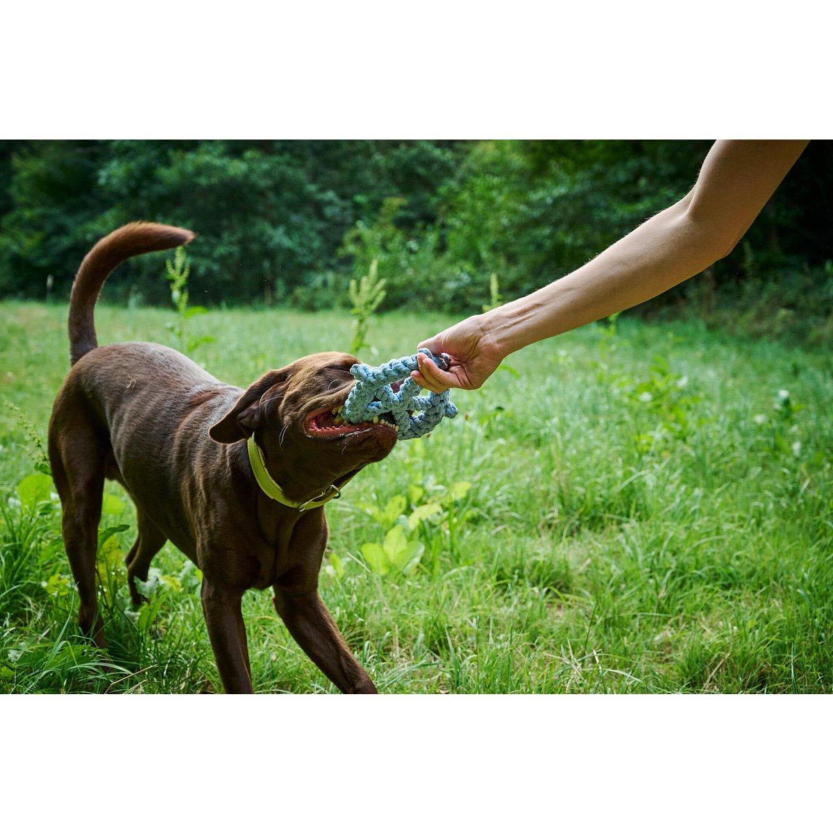 Hundespielzeug Ahoy 3tlg