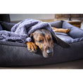 Bild in Galerie-Betrachter laden, Hundedecke COZY STONE - Webpelz Decke
