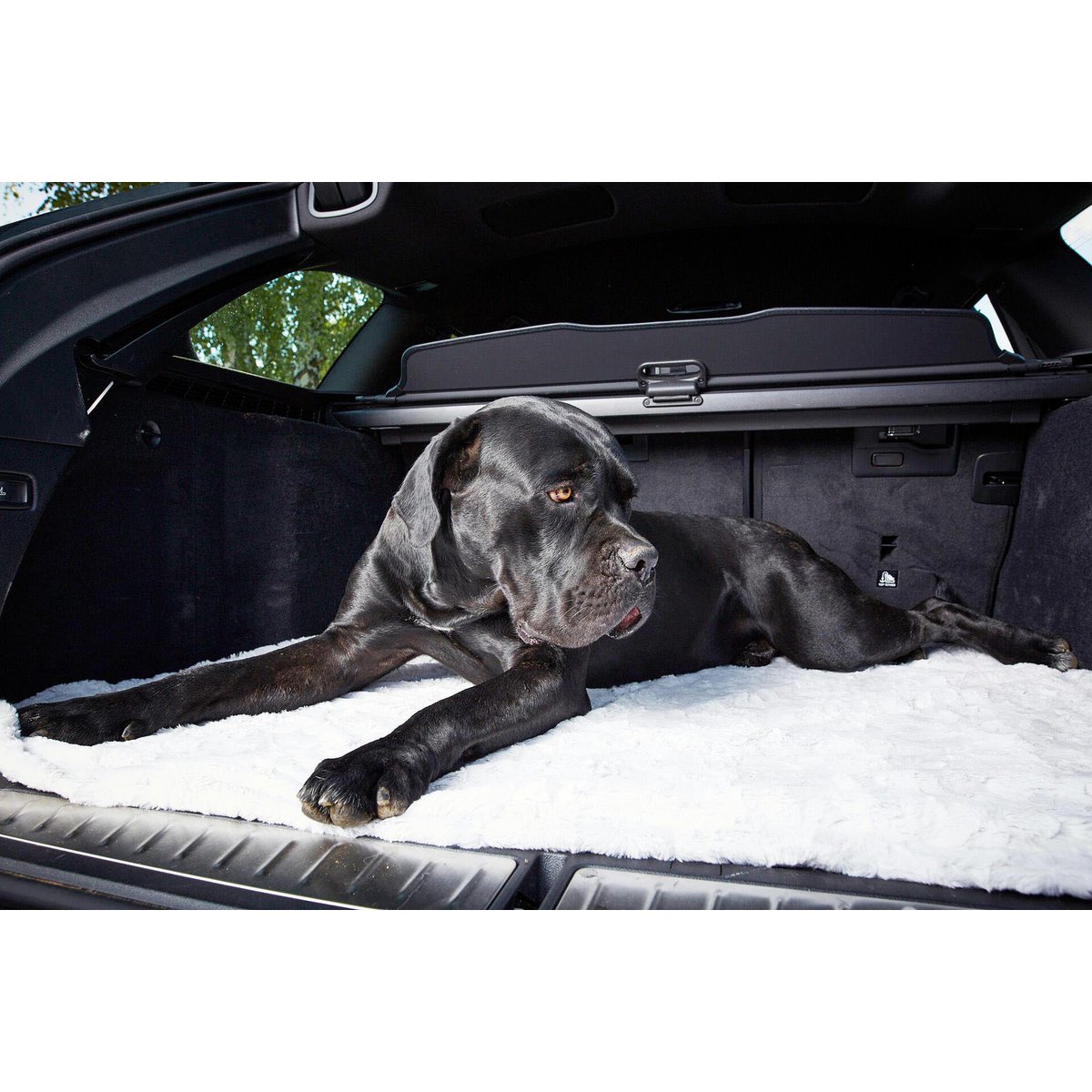 Hundedecke COZY LIGHT GRAY - Webpelz Decke