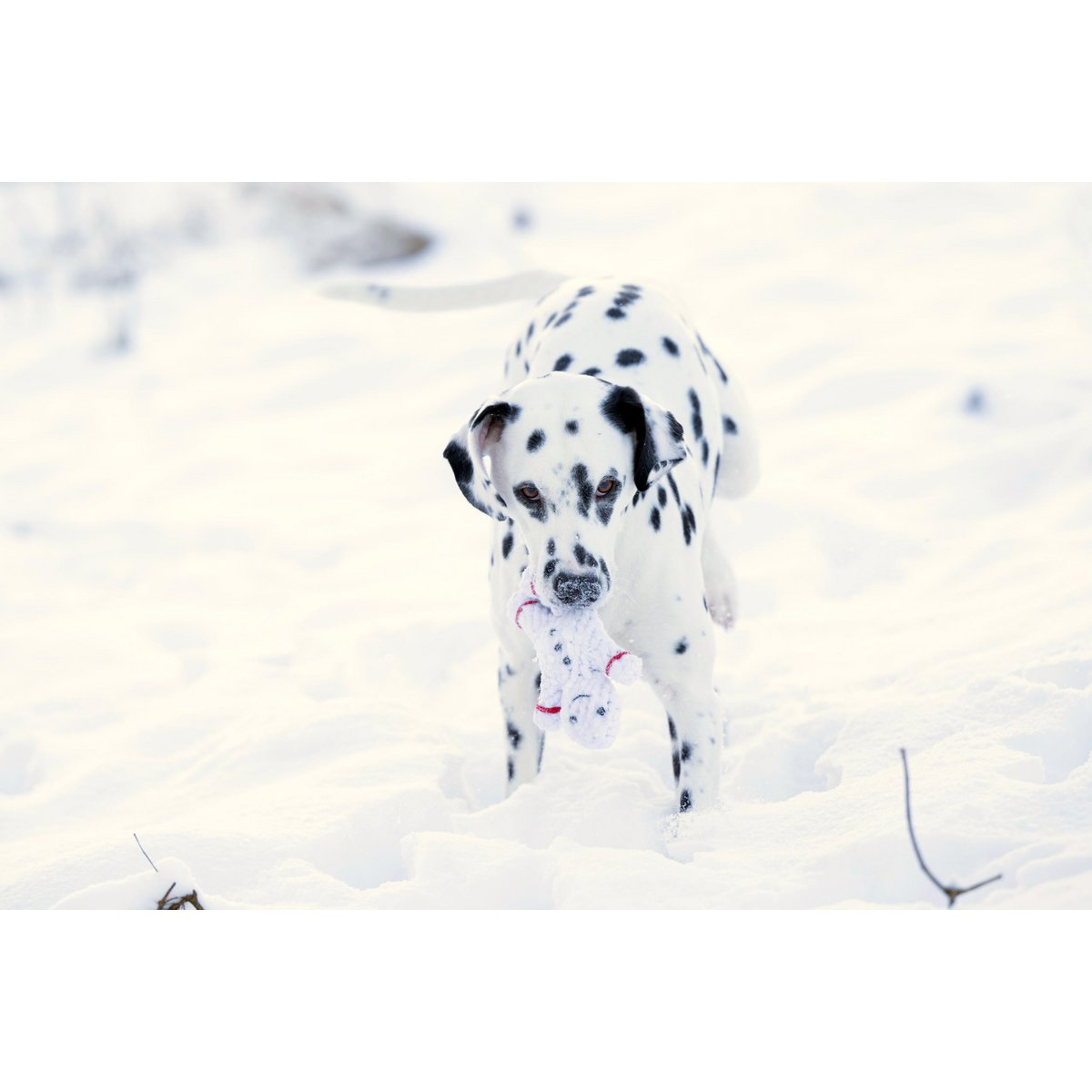 Hundespielzeug Shawn der Schneemann