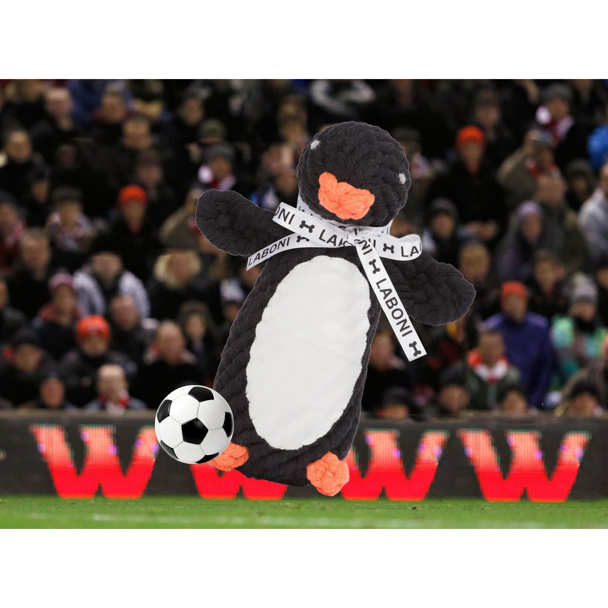 Hundespielzeug Pinguin - BenzoDesign