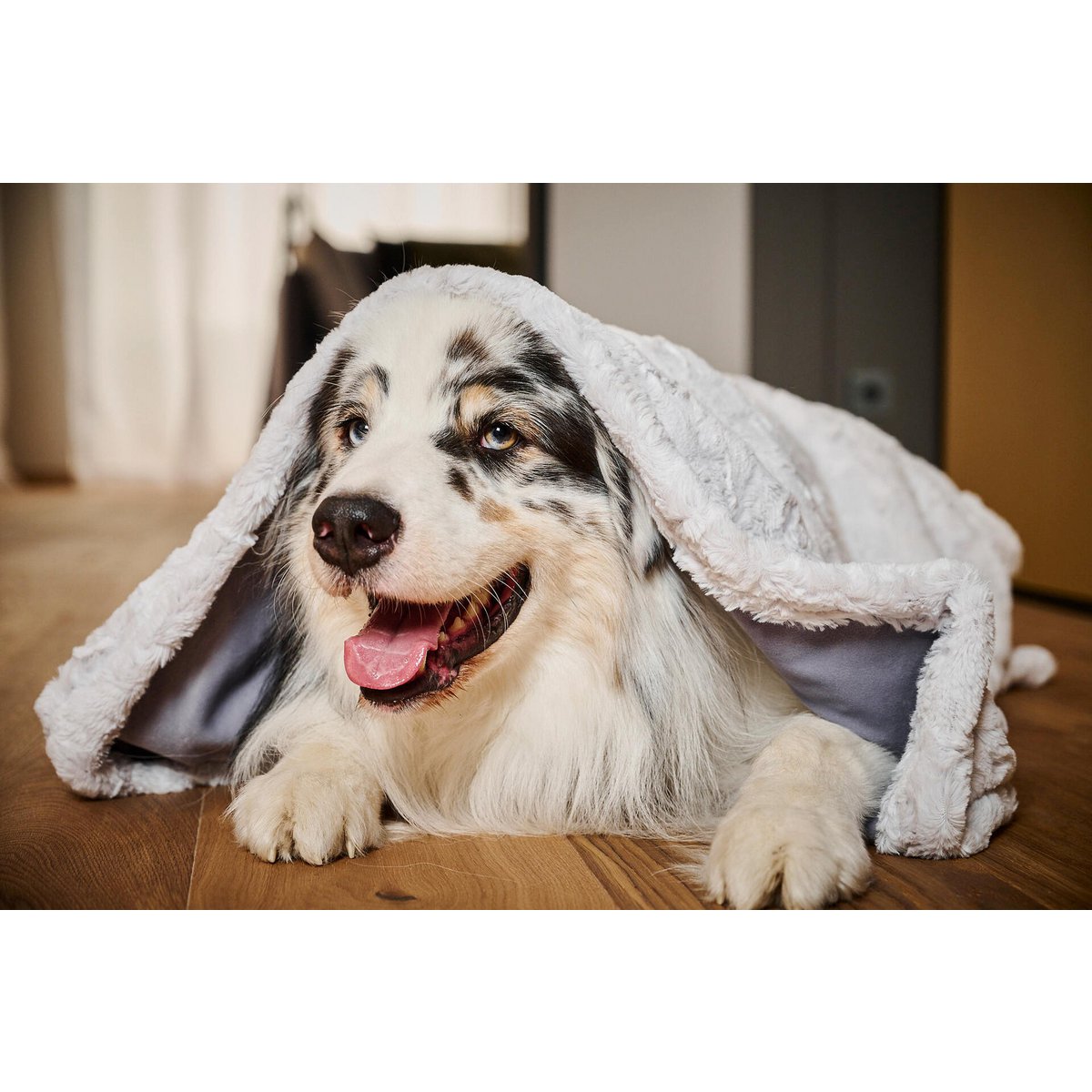 Hundedecke COZY LIGHT GRAY - Webpelz Decke