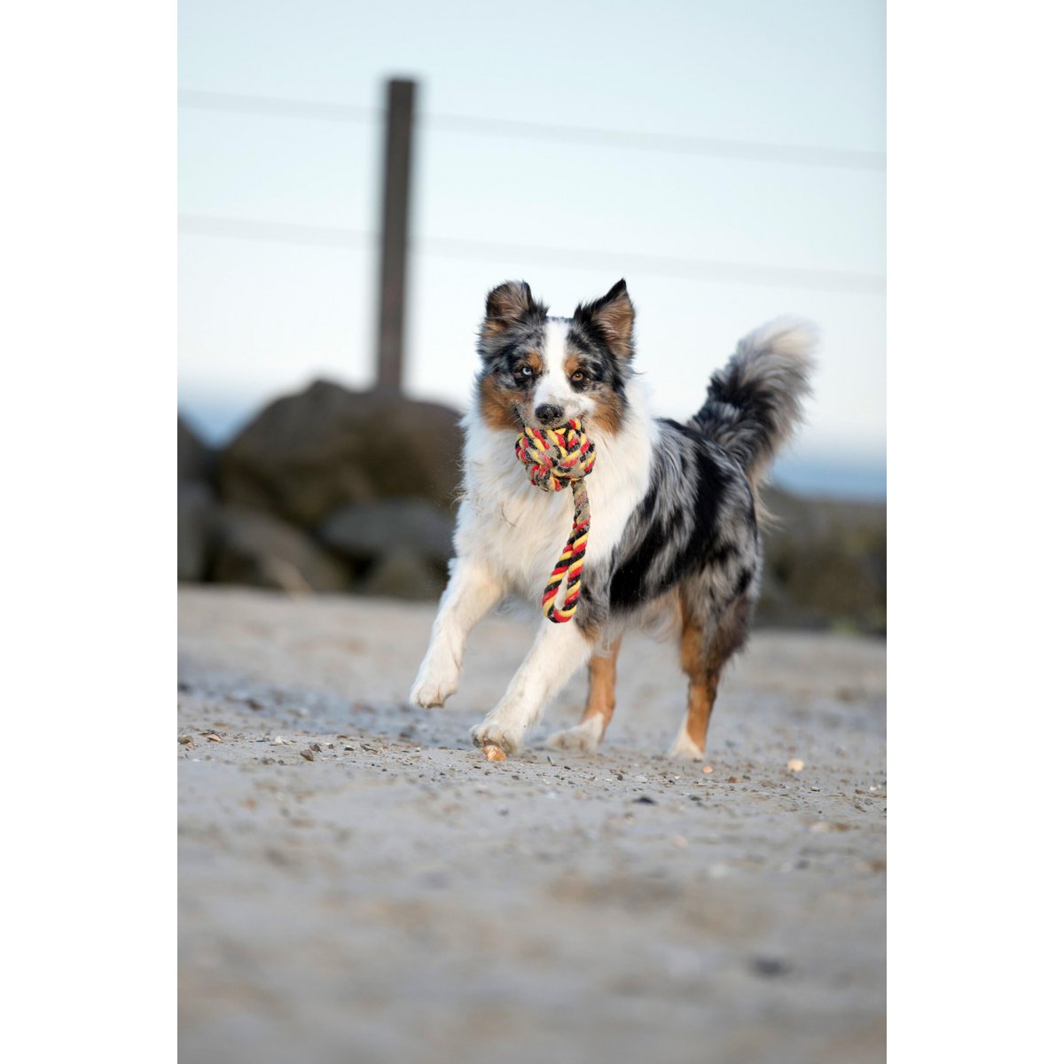 Hundespielzeug Schleuderball