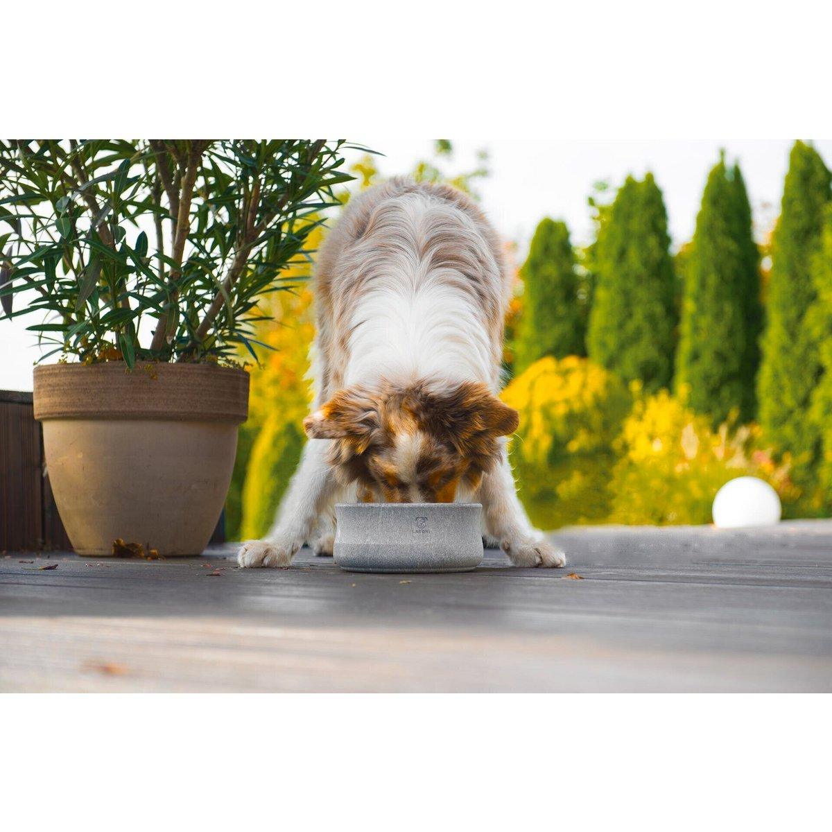 ROCKY - Napf für Hund und Katze