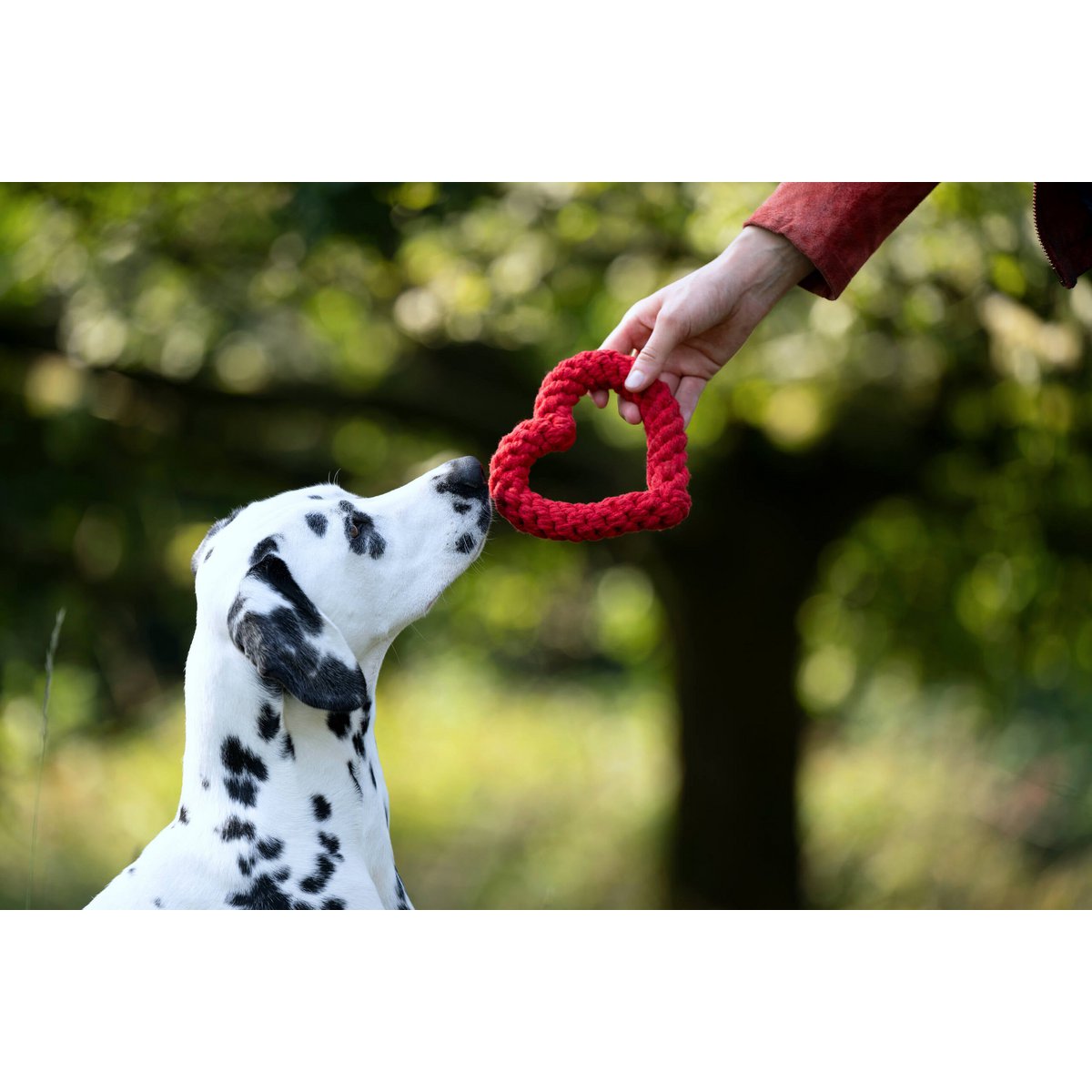 Hundespielzeug Hertha Heart