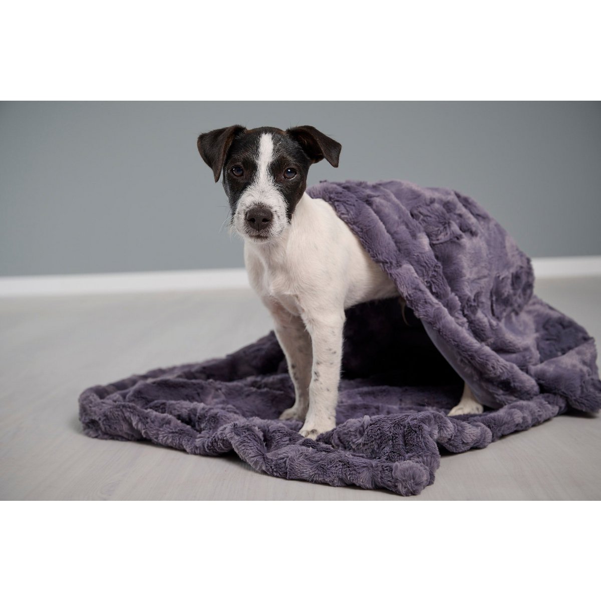 Hundedecke COZY STONE - Webpelz Decke