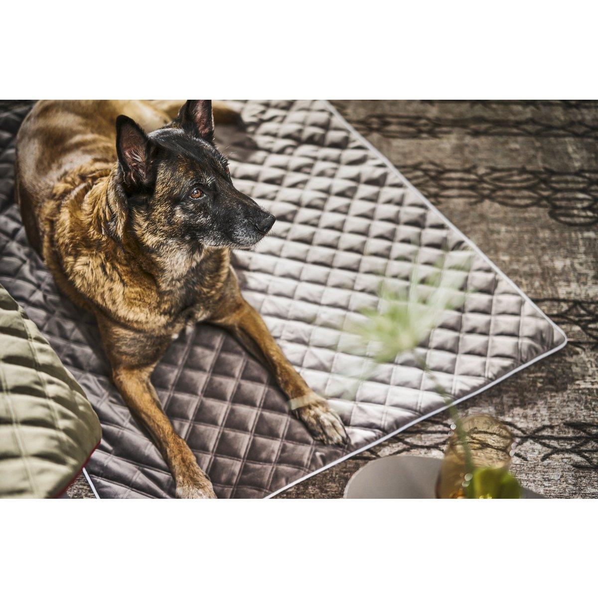 Hundedecke OXFORD Stone - BenzoDesign