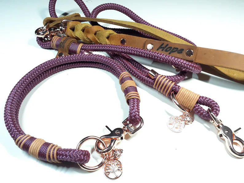 benzodesign_hundehalsband_hundeleinen