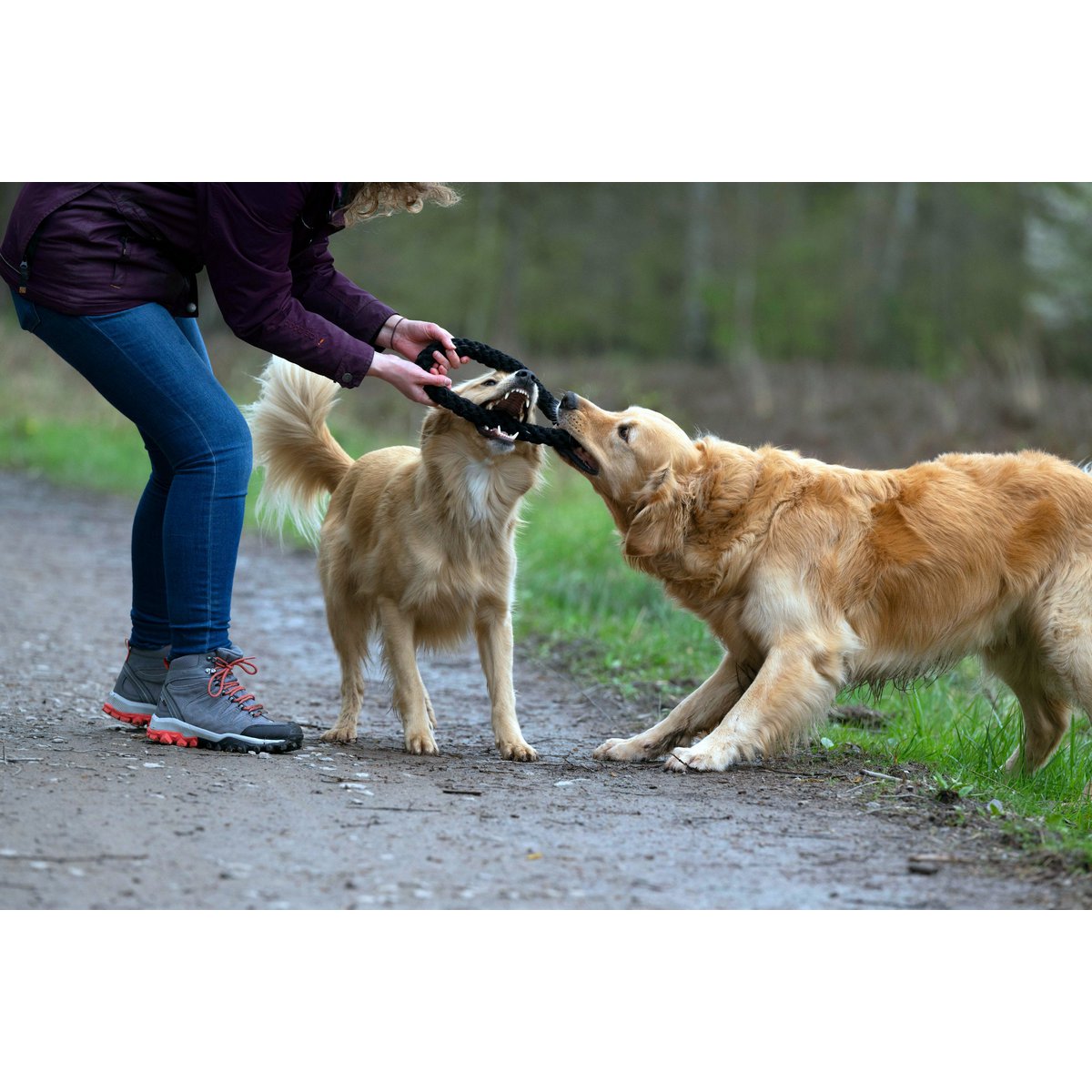 Hundespielzeug Ringo Ring