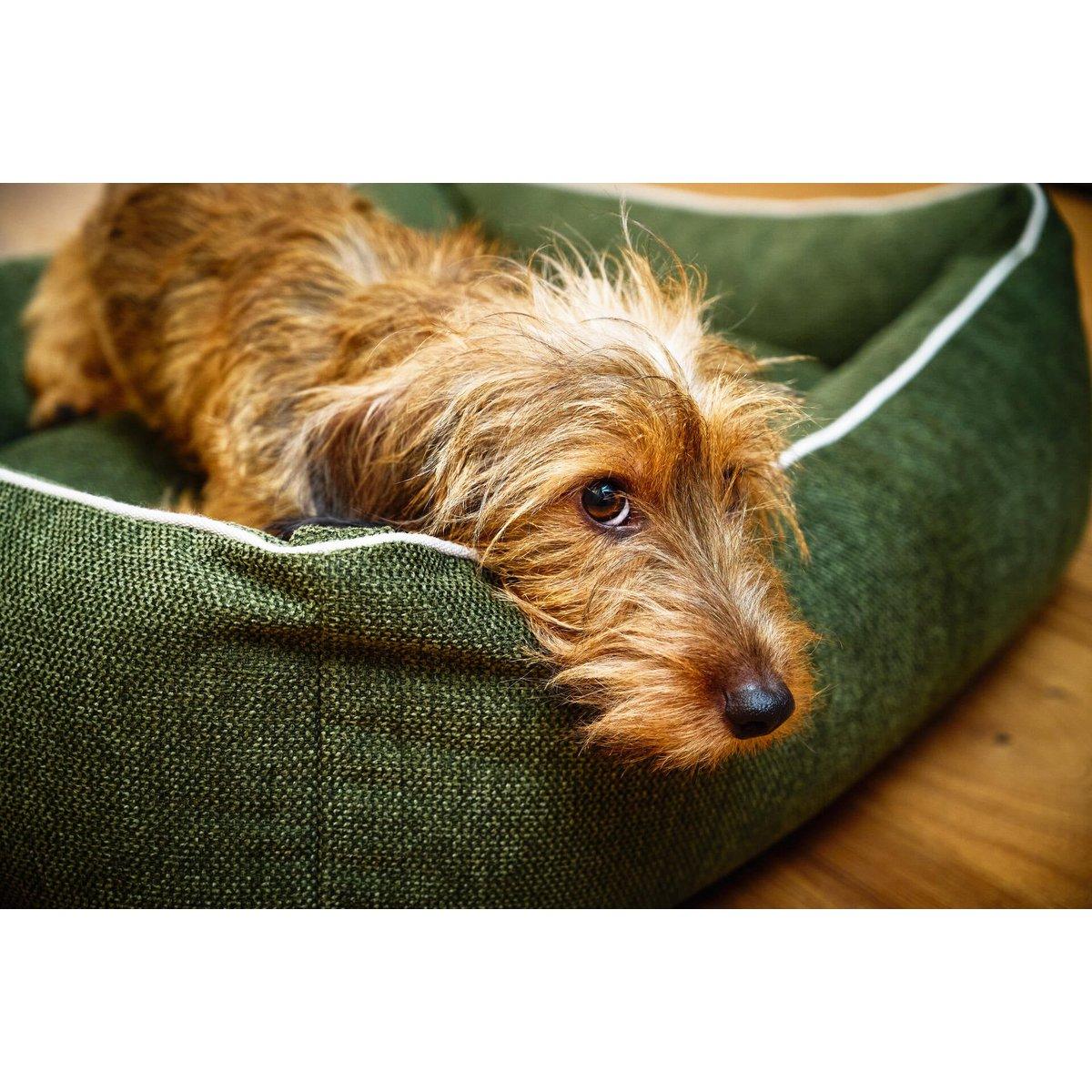 Hundebett Classic - ECO GREEN