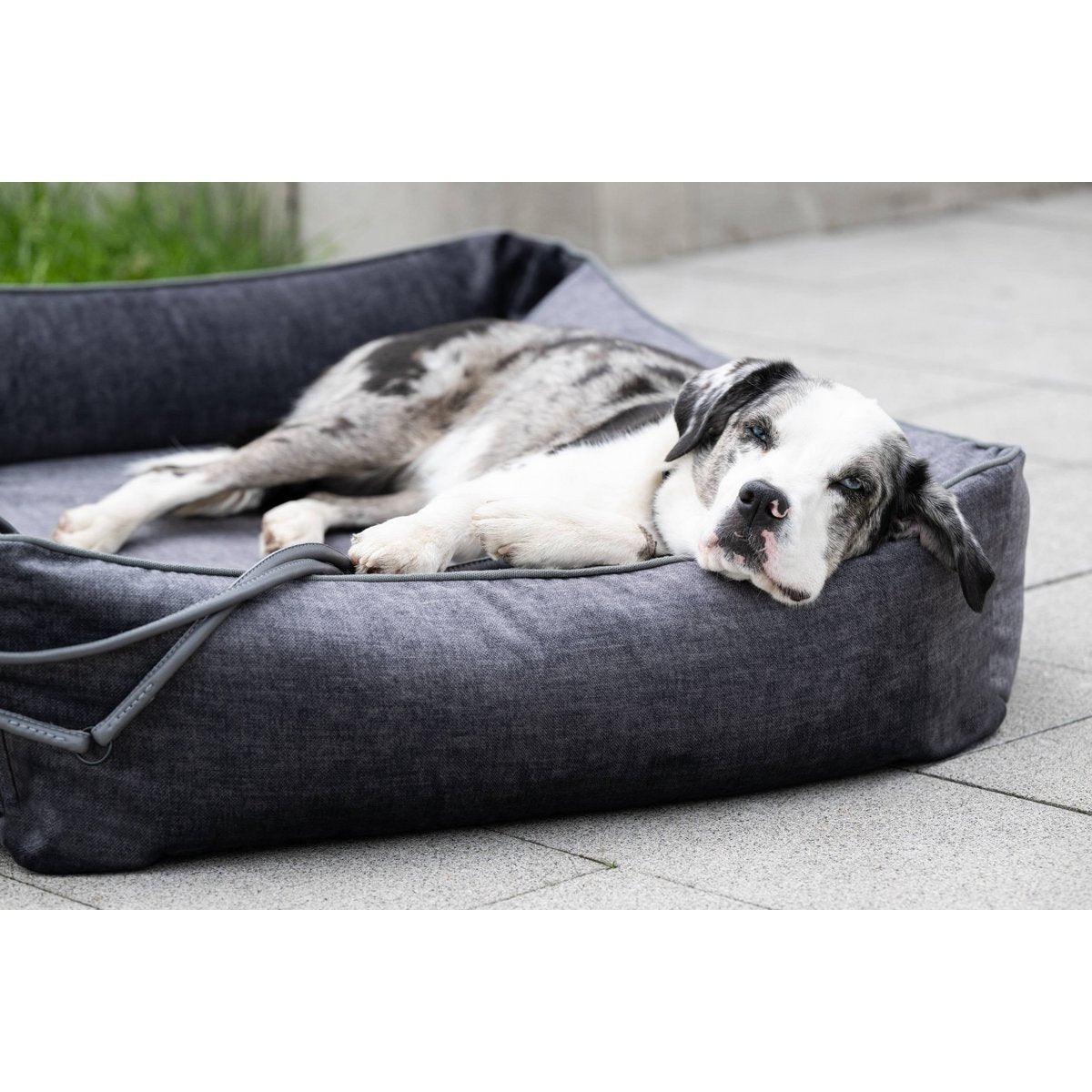 Orthopädisches Hundebett - GLAM GRAPHITE