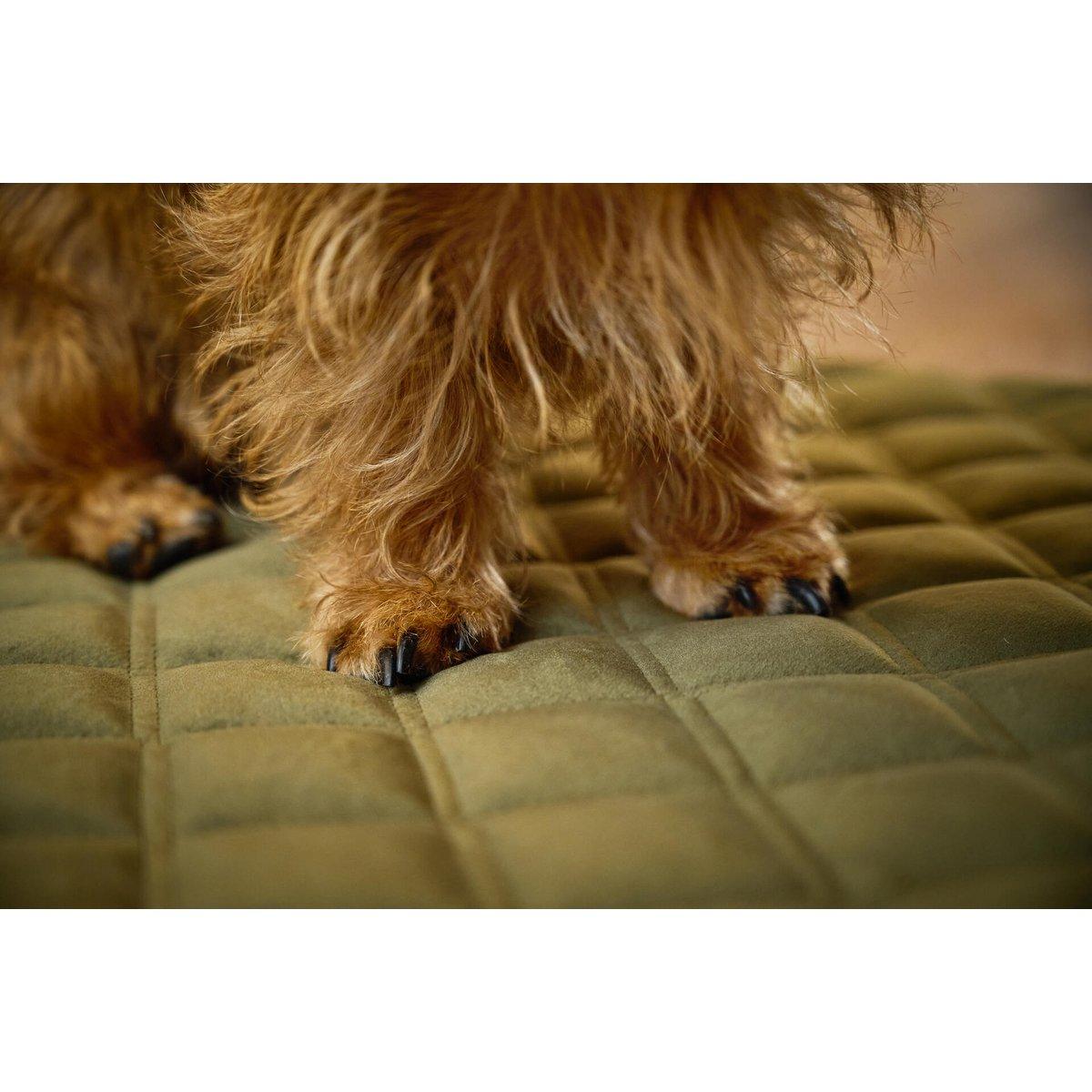 Hundedecke OXFORD Olive