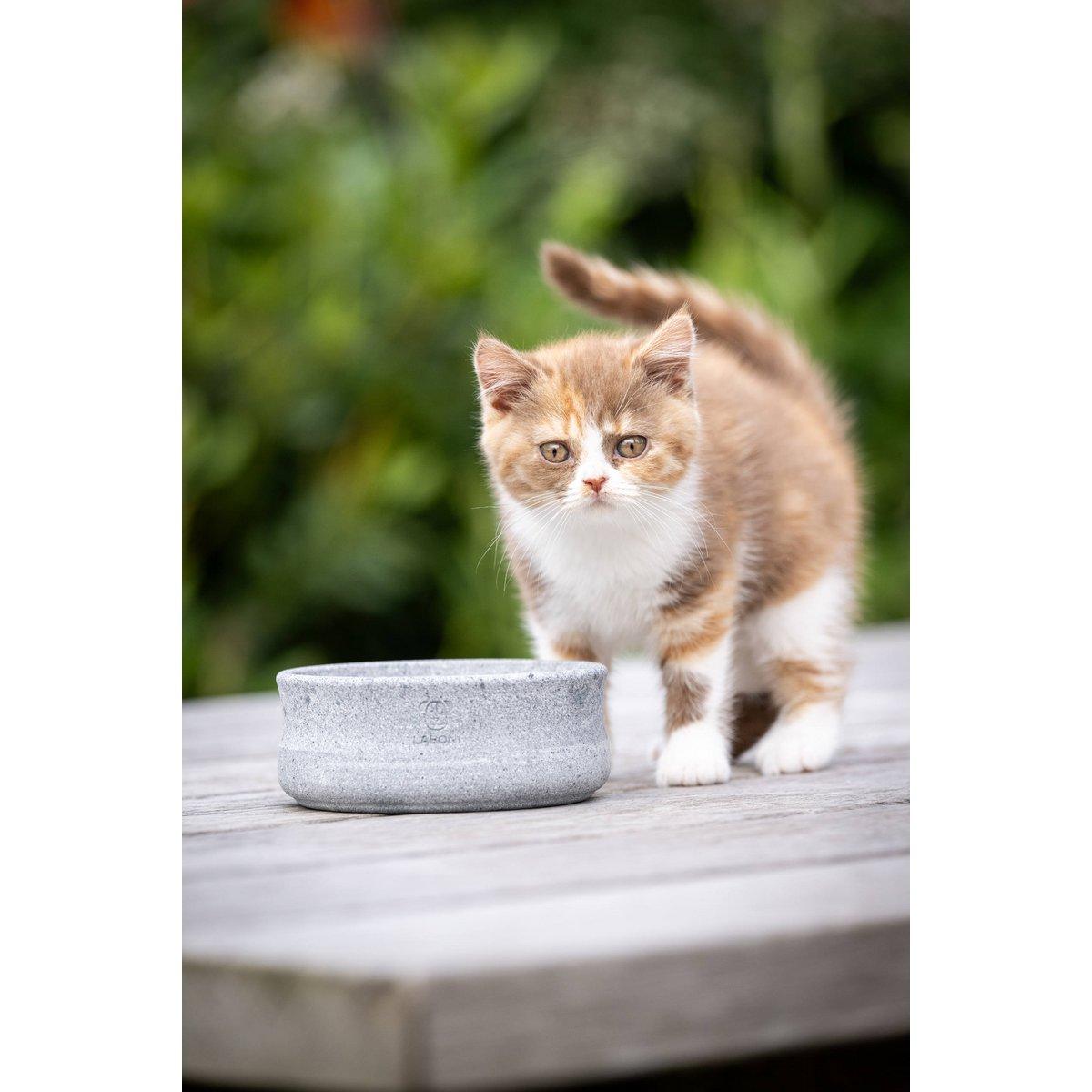 ROCKY - Napf für Hund und Katze