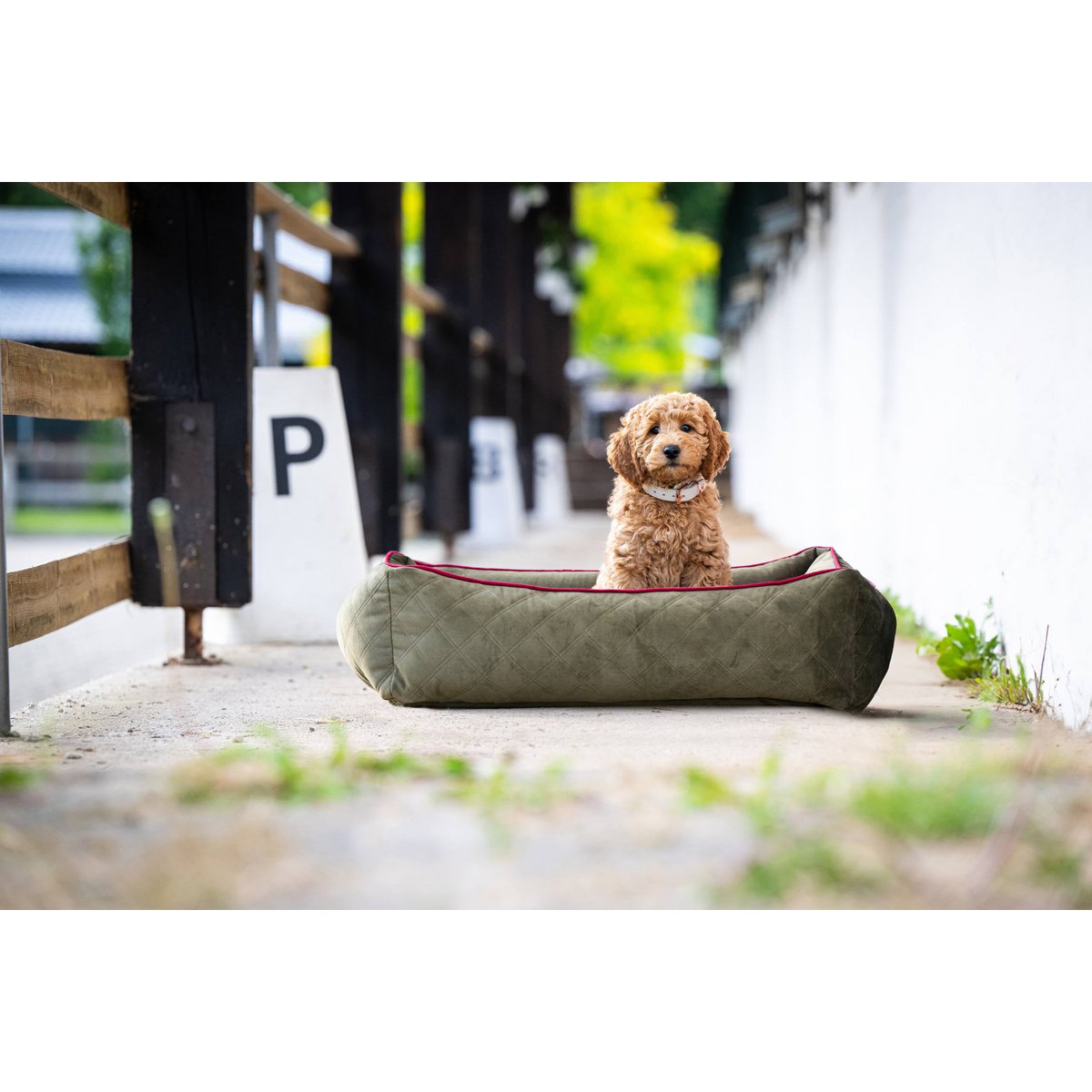 Hundebett Classic - OXFORD OLIVE