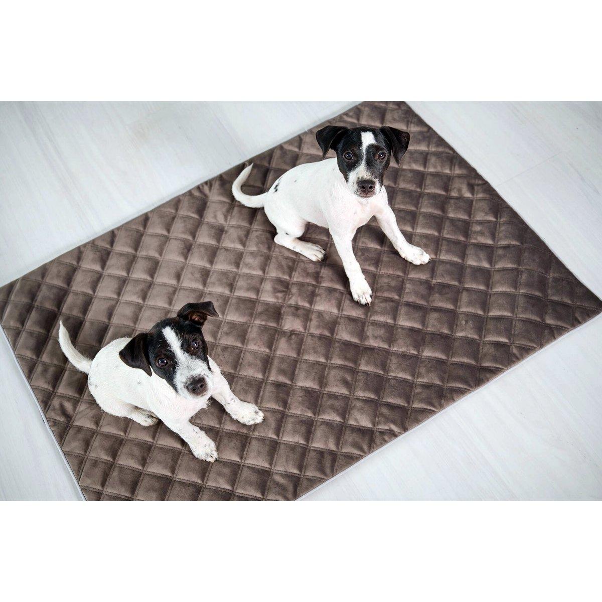 Hundedecke OXFORD Stone - BenzoDesign