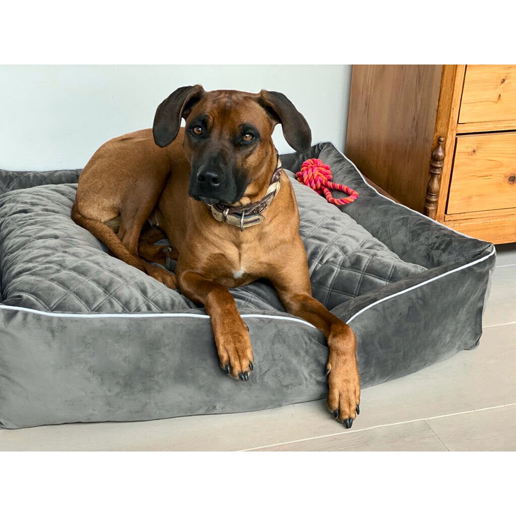 Hundebett Classic - OXFORD STONE