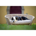 Bild in Galerie-Betrachter laden, Design-Hundebett Vogue SMOOTH
