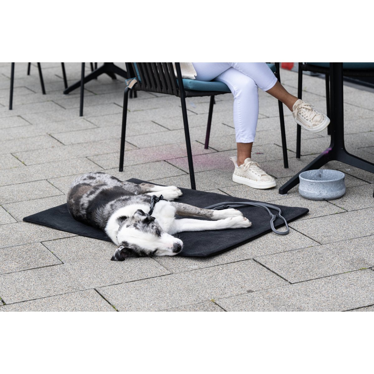 Hundedecke BUFFALO GRAPHITE Multifunktionsdecke