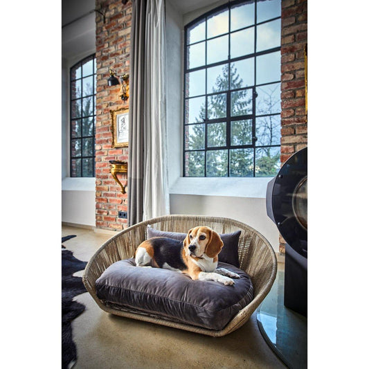 Design-Hundebett Vogue OXFORD