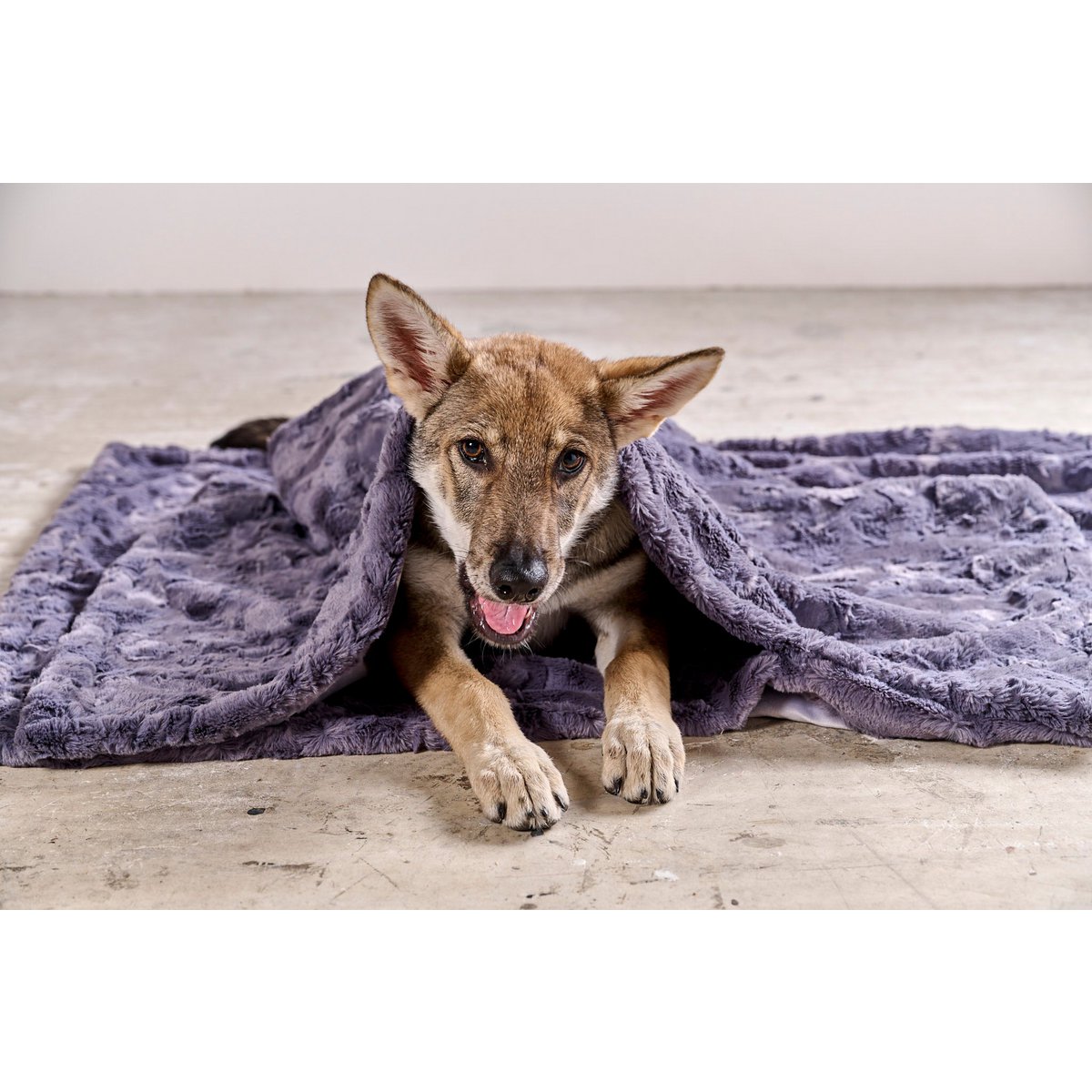 Hundedecke COZY STONE - Webpelz Decke