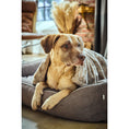 Bild in Galerie-Betrachter laden, Hundedecke COZY BEIGE - Webpelz Decke
