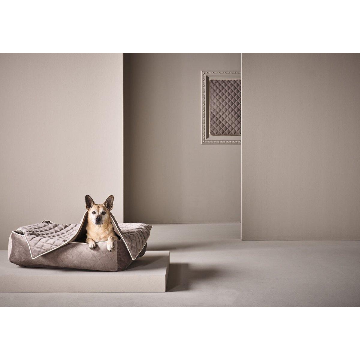 Hundedecke OXFORD Taupe - BenzoDesign