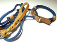 Carica l'immagine nella gallery viewer, Collare set corda STEVE in corda da arrampicata in blu con incisione - BenzoDesign
