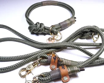 benzodesign_hundehalsband_hundeleinen