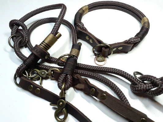 benzodesign_hundehalsband_hundeleinen