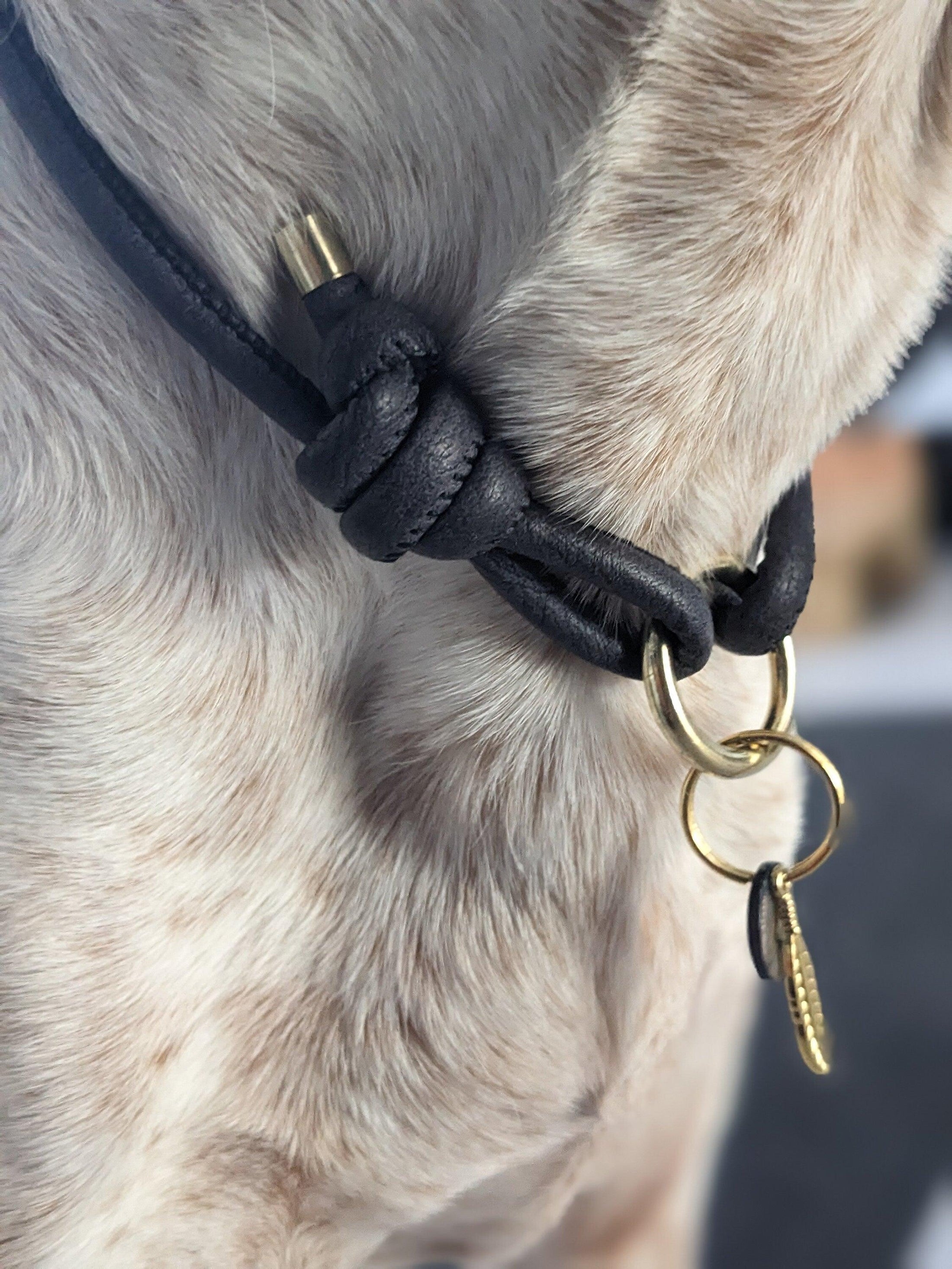 Markenhalsband aus Kunstleder verstellbar in graublau - BenzoDesign