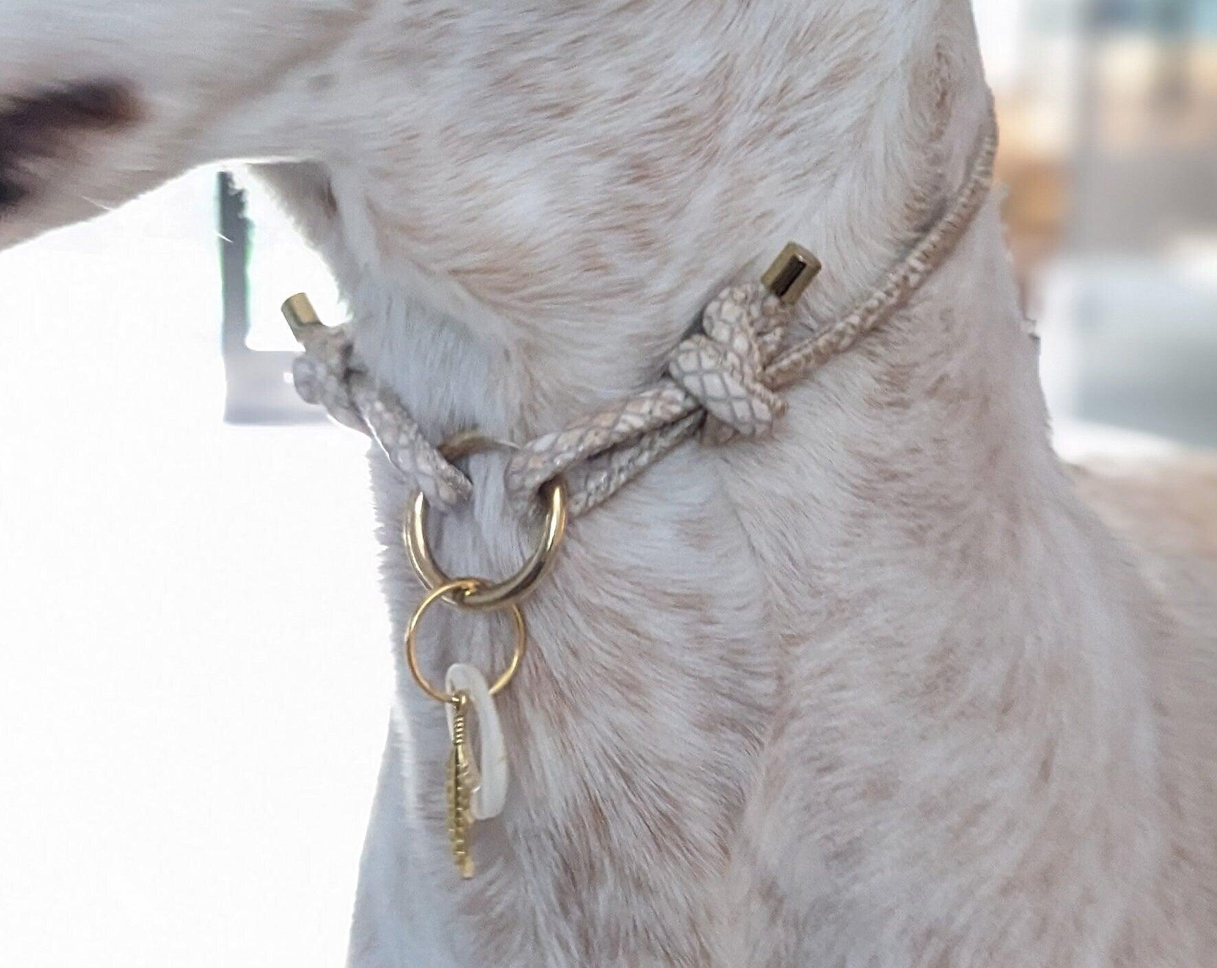 Markenhalsband aus Kunstleder verstellbar in Schlangenoptik Creme - BenzoDesign