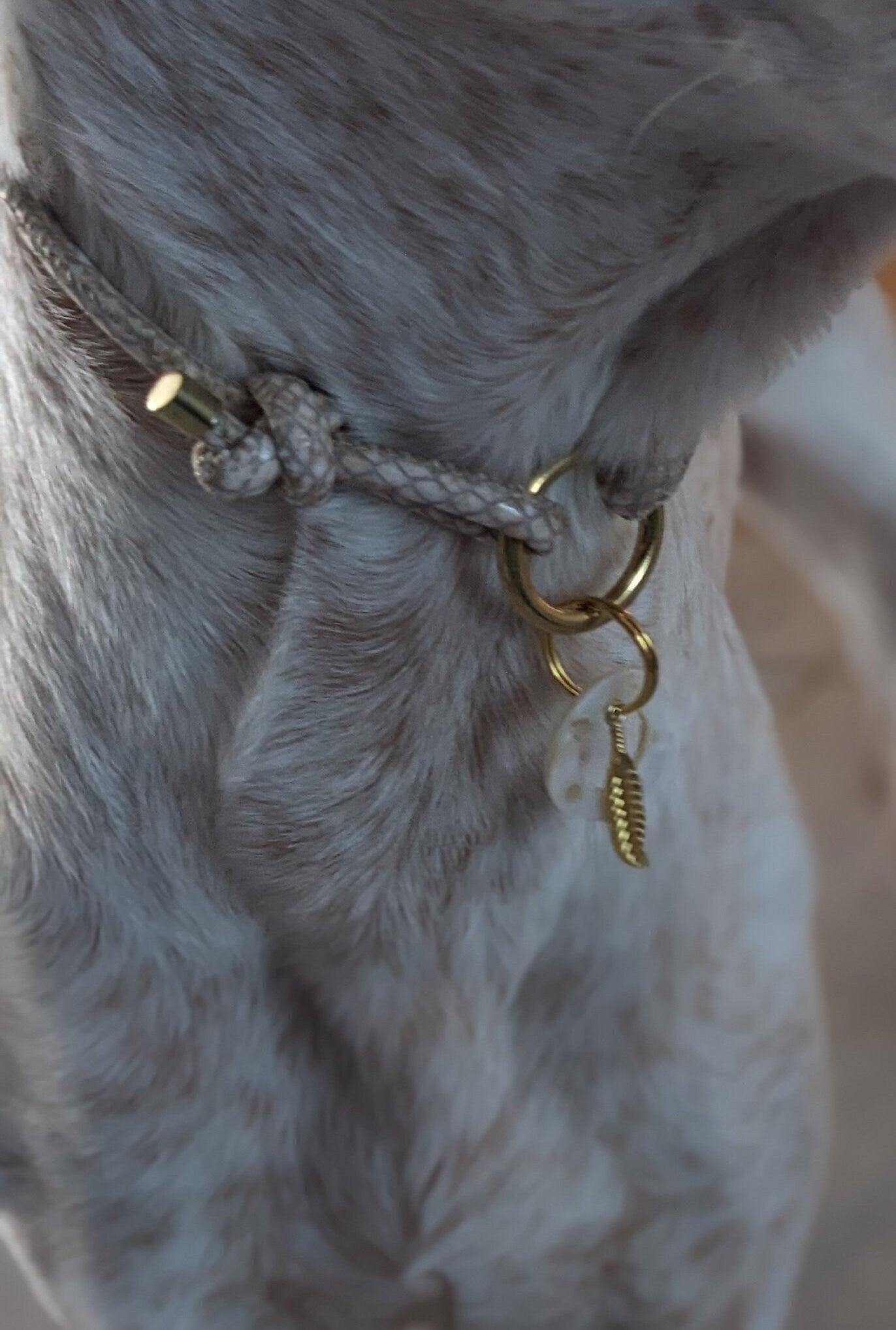 Markenhalsband aus Kunstleder verstellbar in Schlangenoptik Creme - BenzoDesign