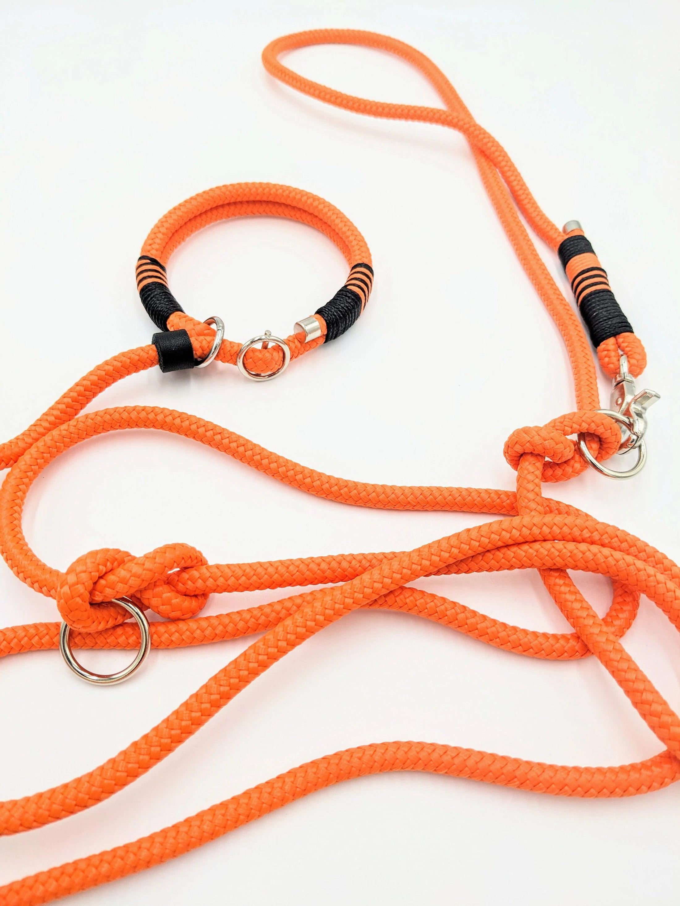 Retriever leash NIMA Moxon leash orange - BenzoDesign