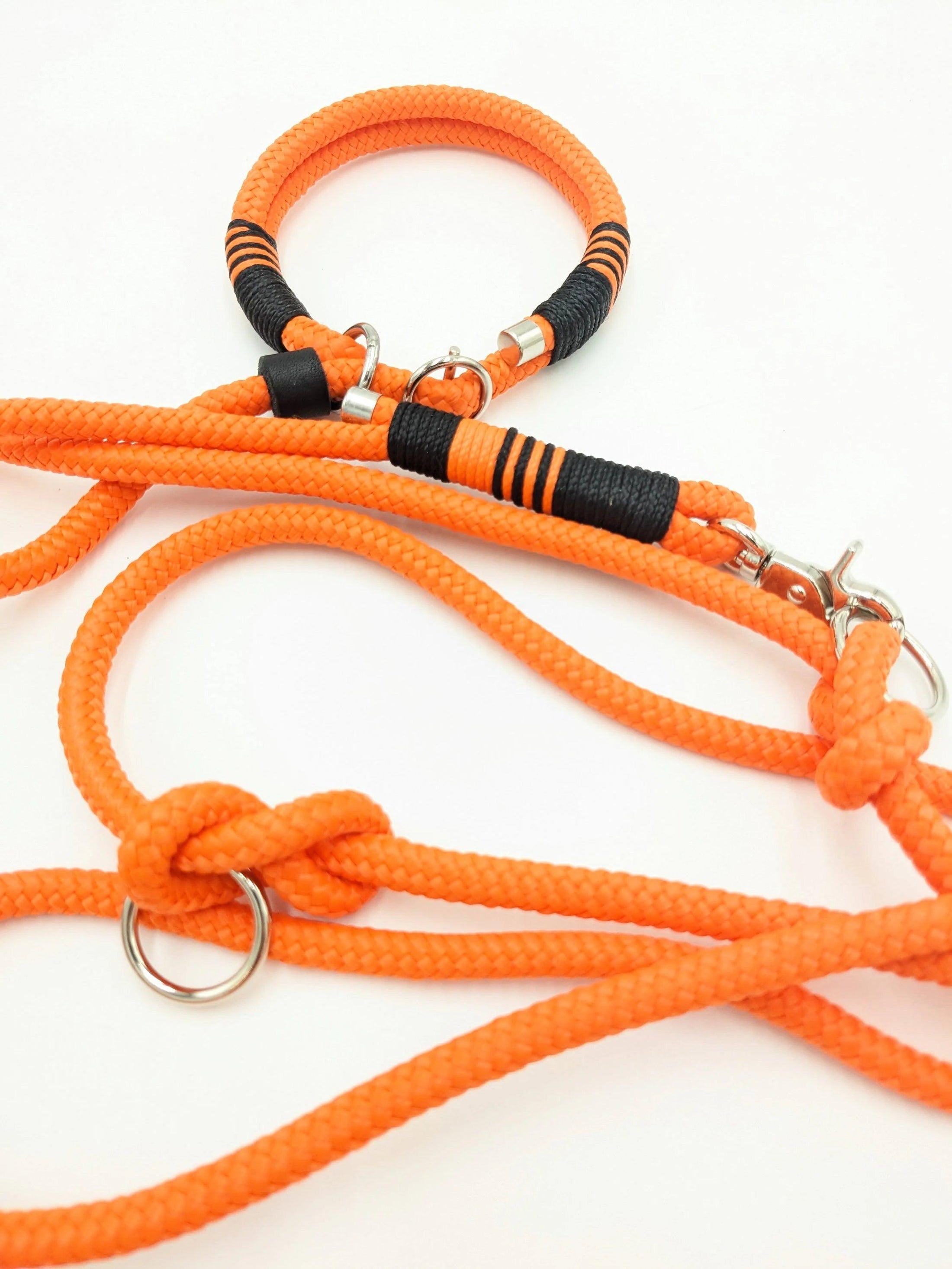 Retriever leash NIMA Moxon leash orange - BenzoDesign