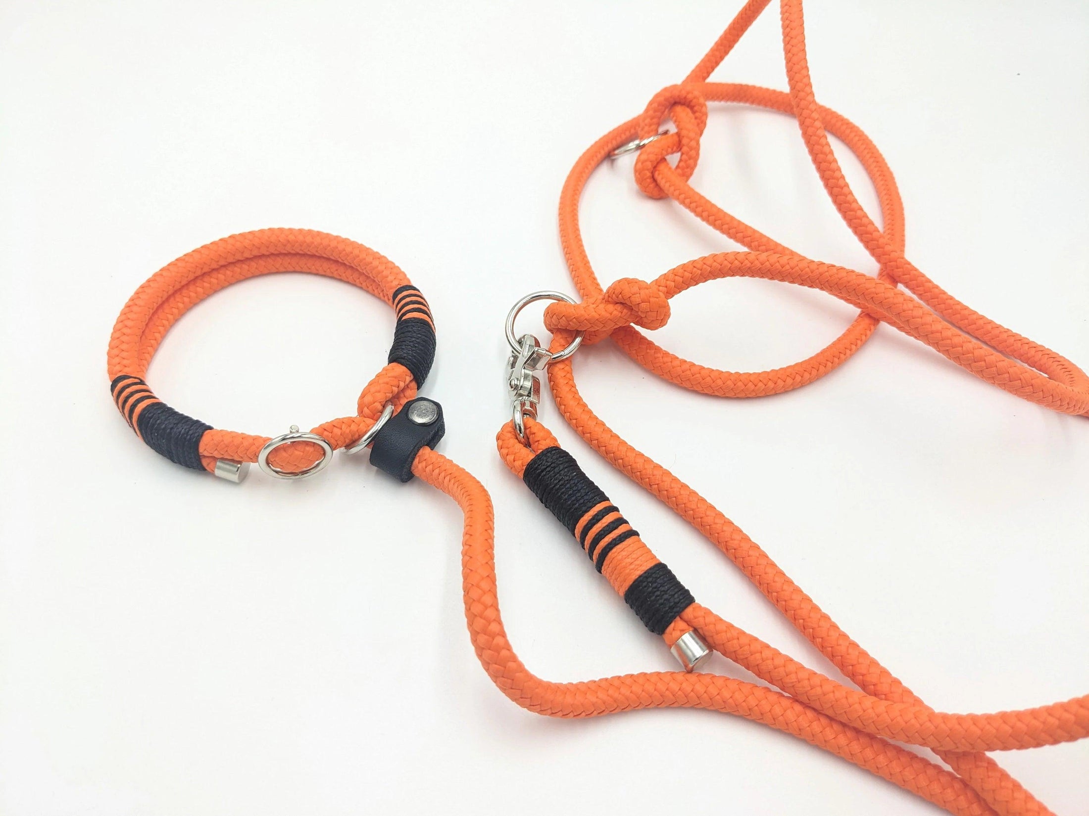 Retriever leash NIMA Moxon leash orange - BenzoDesign